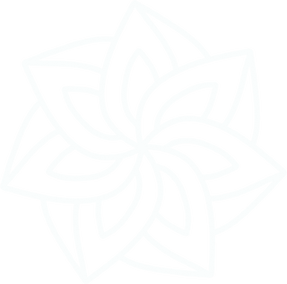 Mandala Flower Illustration